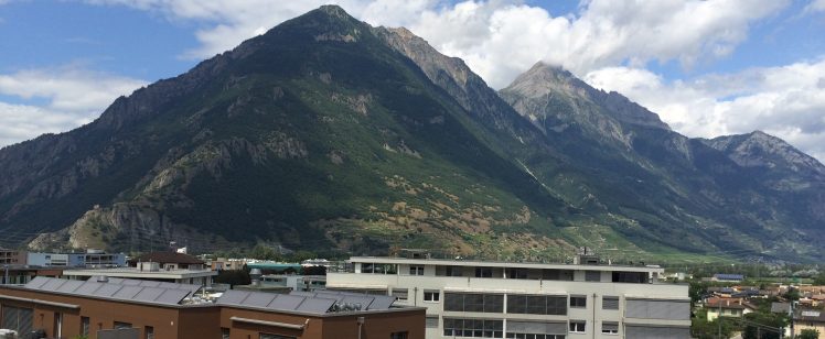 View from the training room